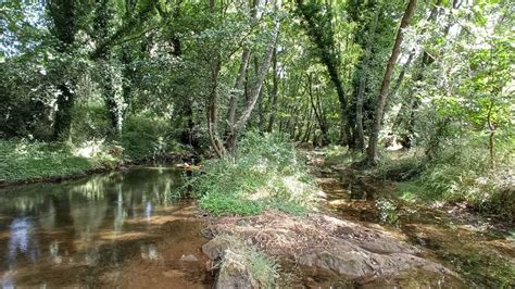 sendero molino del corcho|Sendero Molino del Corcho y Laderas de Cazalla